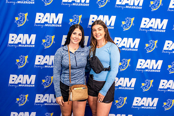 BAM 6-4_31