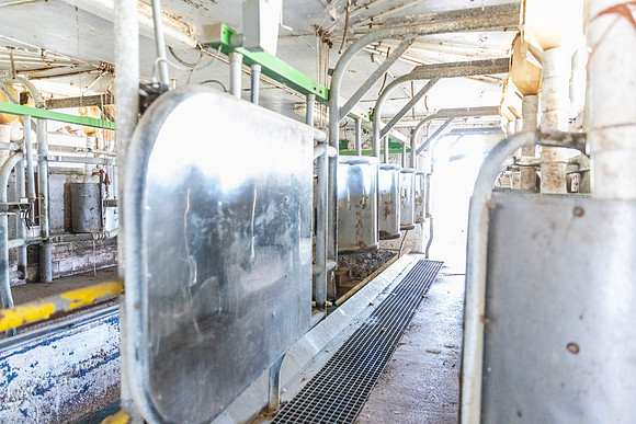 SP25 SAU Dairy Barn 20