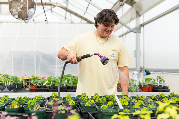 SP25 SAU Greenhouse 26