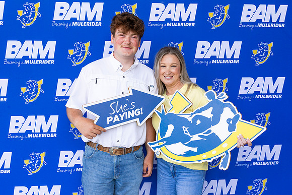 BAM 33