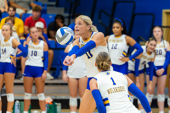 Volleyball35