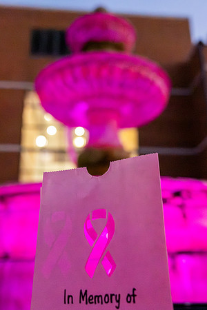Light for the Fight_77
