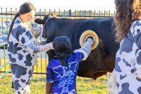 Boo in the Barnyard_20