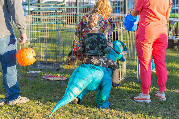 Boo in the Barnyard_27