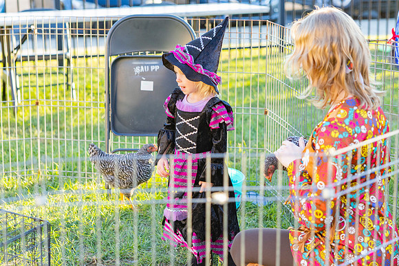 Boo in the Barnyard_28