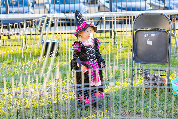 Boo in the Barnyard_29