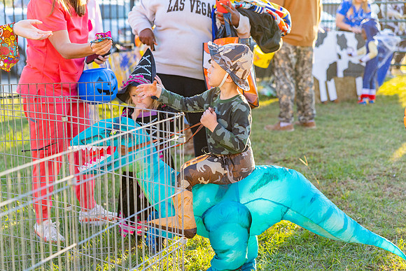 Boo in the Barnyard_30