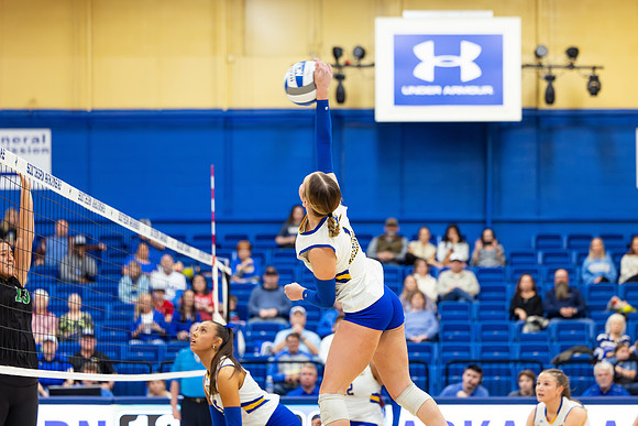 VolleyballSRNight-42