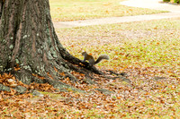 Around the Campus_3