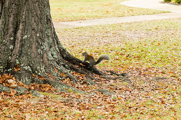 Around the Campus_3