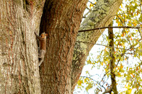 Around the Campus_4