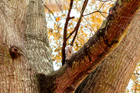Around the Campus_5