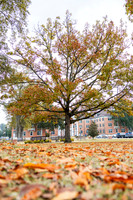 Around the Campus_8