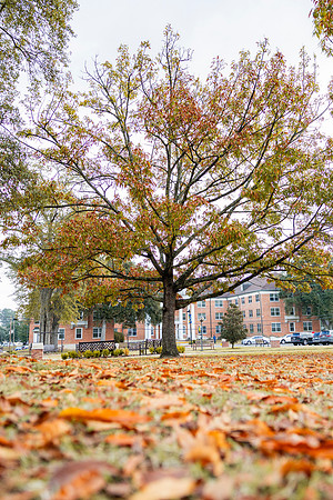 Around the Campus_8