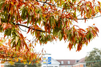 Around the Campus_6