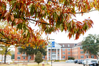 Around the Campus_7
