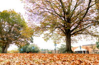 Around the Campus_1