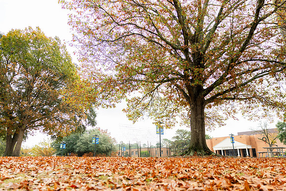 Around the Campus_1