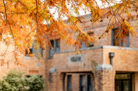 Around the Campus_19