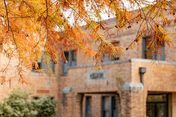 Around the Campus_19