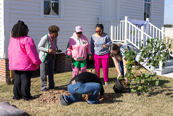 Arbor Day17