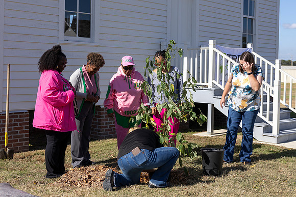 Arbor Day19