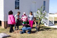 Arbor Day18