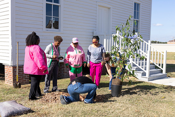 Arbor Day18