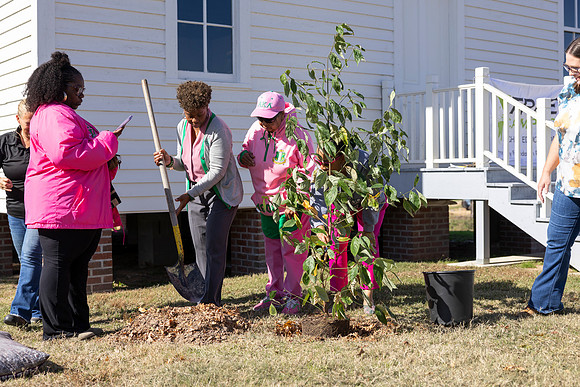Arbor Day21