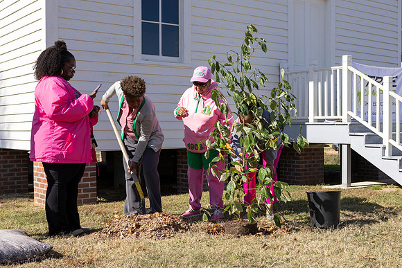 Arbor Day22