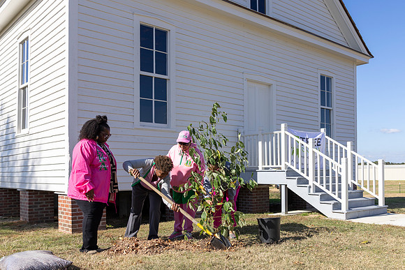Arbor Day26