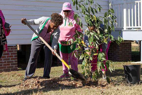 Arbor Day25