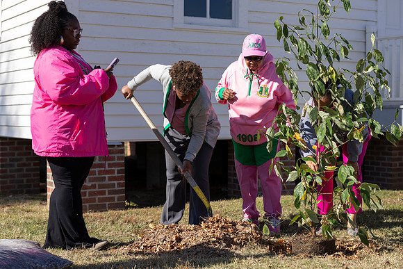 Arbor Day23