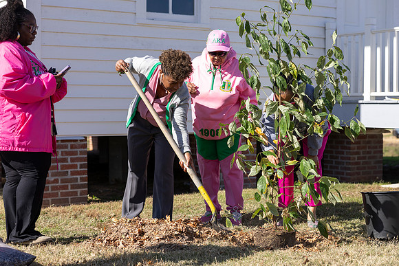 Arbor Day24
