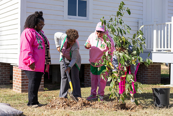 Arbor Day27