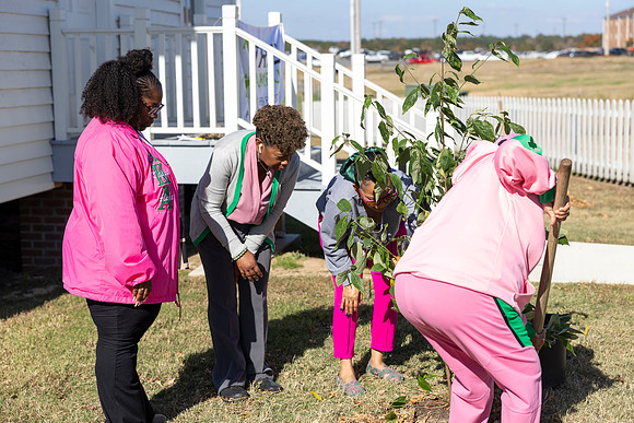 Arbor Day28