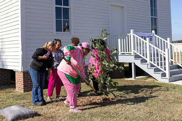 Arbor Day31