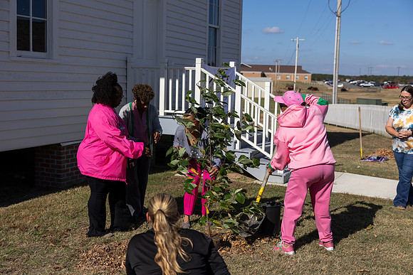 Arbor Day29