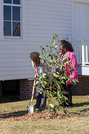 Arbor Day34