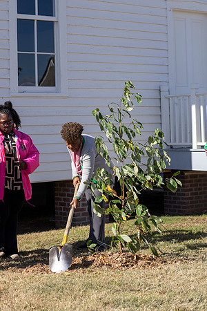 Arbor Day35