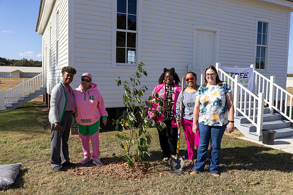 Arbor Day36