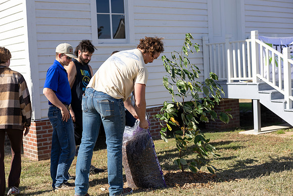 Arbor Day37