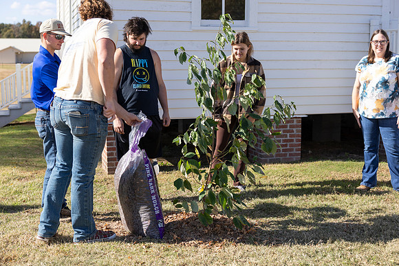 Arbor Day38