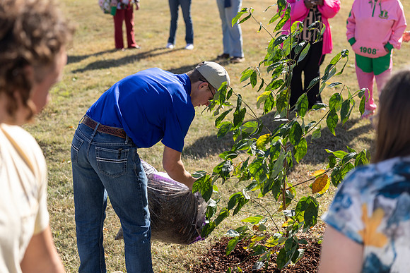 Arbor Day43