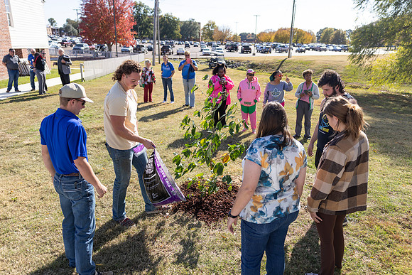Arbor Day41
