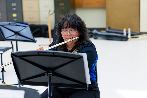 Woodwind Quintet 24