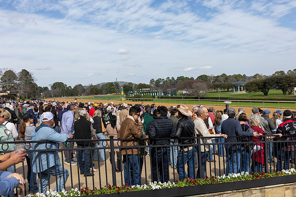 Alumni Day at the Races_179