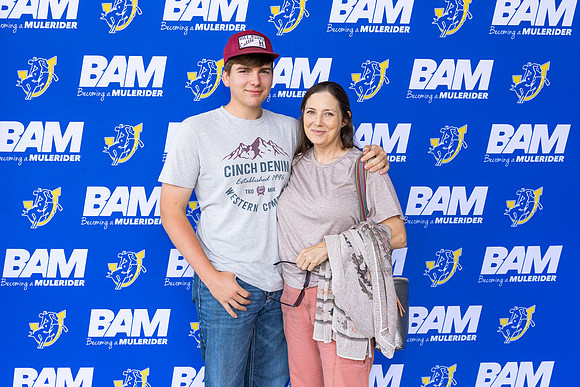 BAM 31