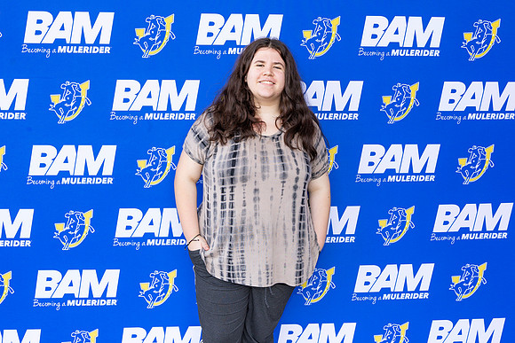 BAM 27