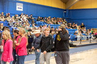 CDE_19
